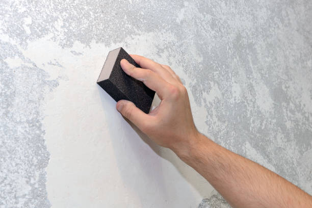 Professional Mold Removal in Clay, AL
