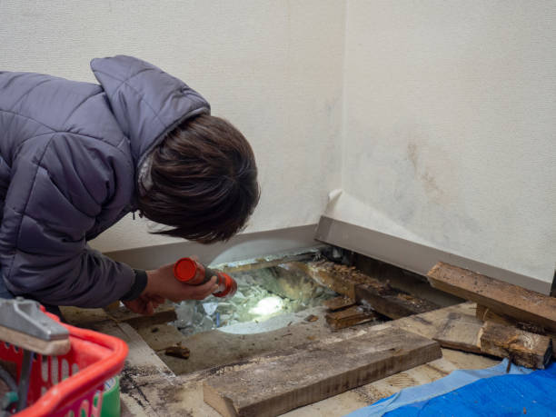 Best Air Quality Testing for Mold Spores  in Clay, AL