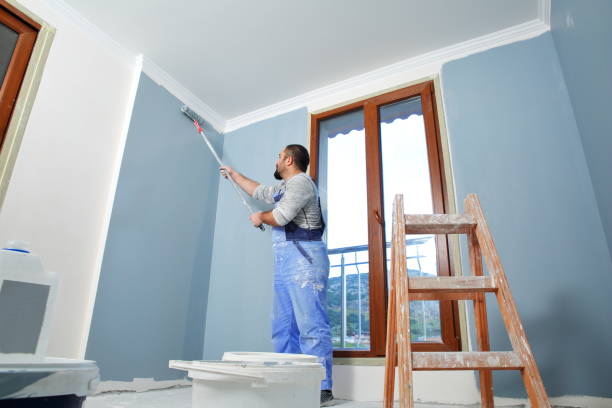 Best Water Damage & Mold Remediation  in Clay, AL