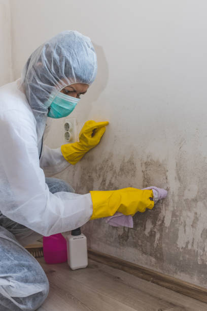 Best Indoor Air Quality Assessment  in Clay, AL