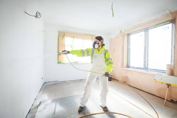  Clay, AL Mold Removal Pros