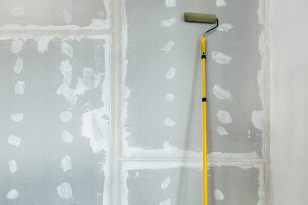 Best Biohazard Mold Removal  in Clay, AL