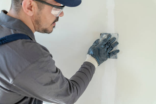 Best Forensic Mold Investigation  in Clay, AL