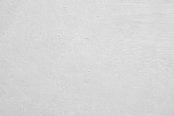 Best Residential Mold Inspection & Testing  in Clay, AL