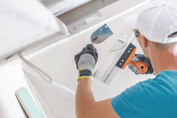 Best Mold Odor Removal Services  in Clay, AL